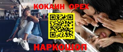 сатива Кандалакша