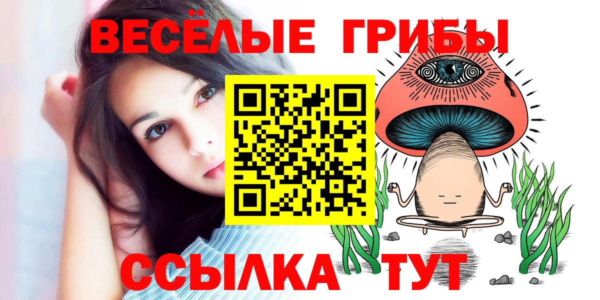 купить   Вход с VPN  Лесосибирск  Псилоцибиновые грибы мухоморы 
